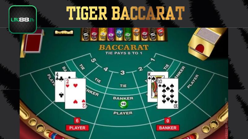 Những cửa cược cơ bản của game bài Tiger Baccarat